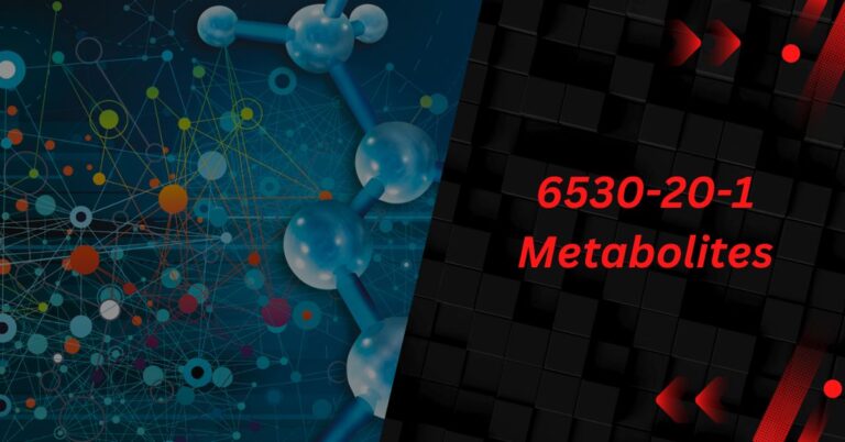 6530-20-1 Metabolites