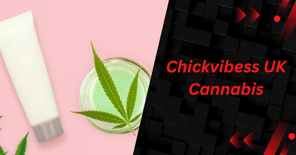 Chickvibess UK Cannabis – Uncover The Truth Here!