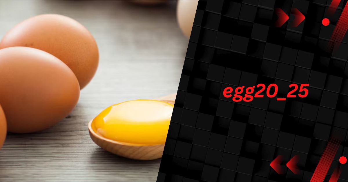 Understanding “egg20_25” – Click Here For Exclusive Content