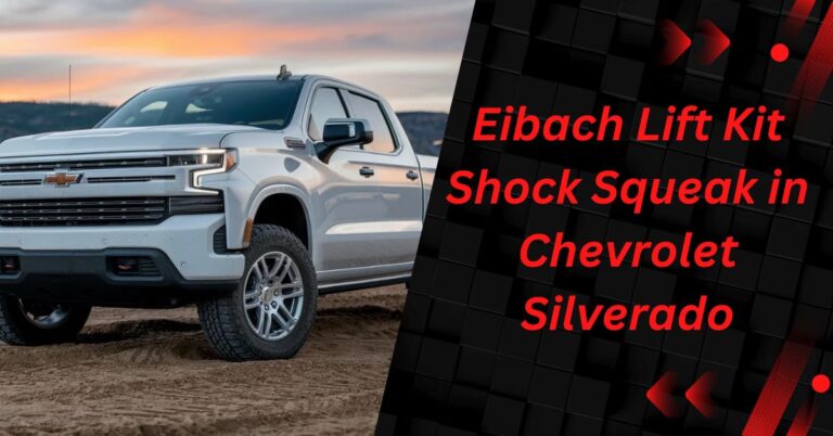 Eibach Lift Kit Shock Squeak in Chevrolet Silverado